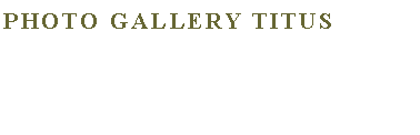 Text Box: Photo gallery titus
